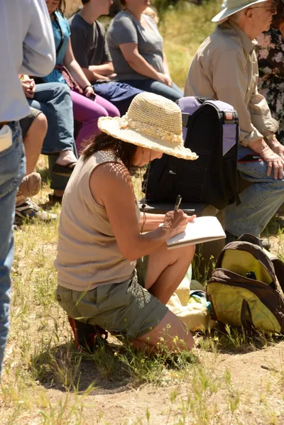 DSC_1666 (Large).JPG